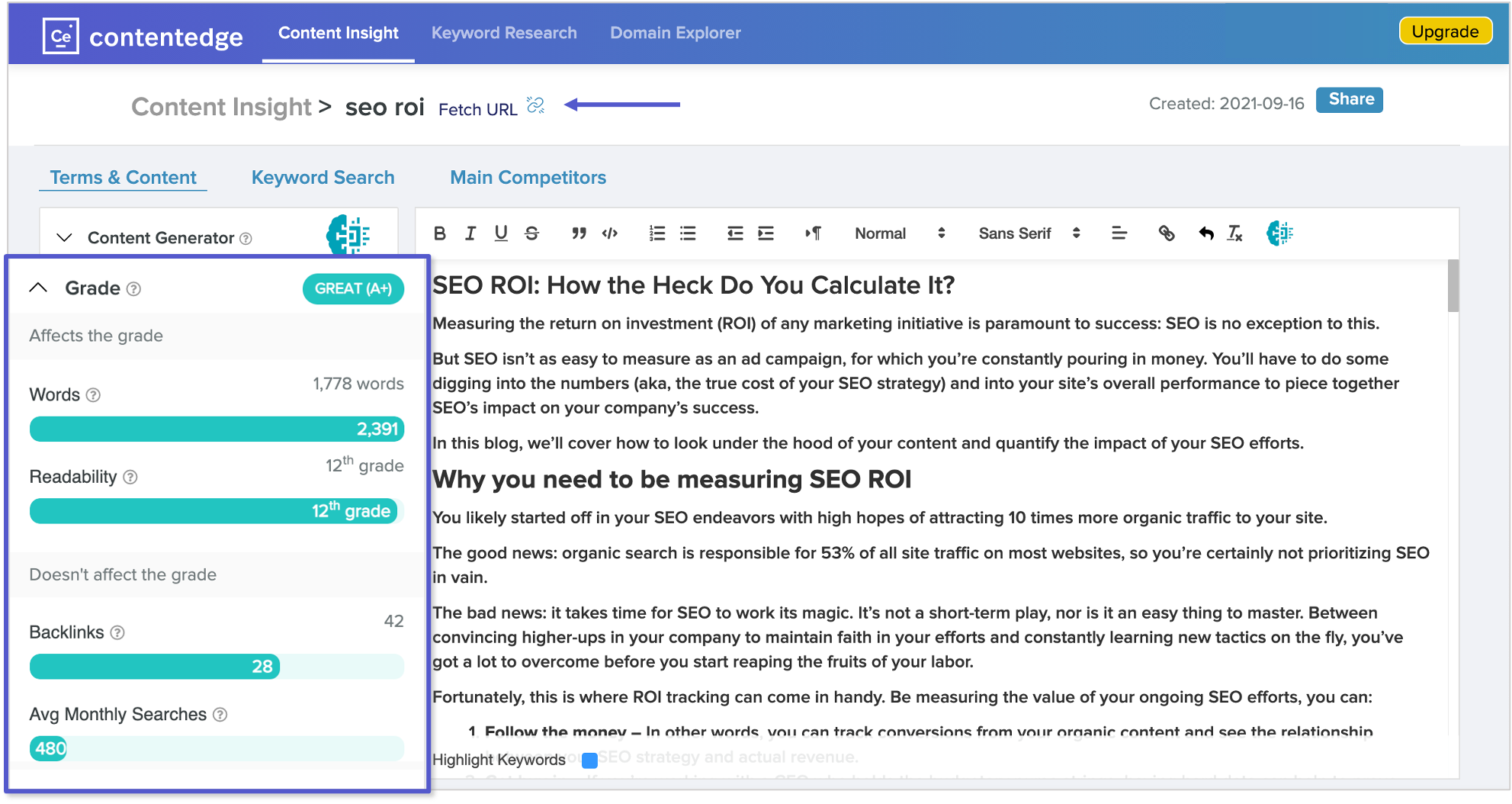 screenshot of ContentEdge's Content Insight report